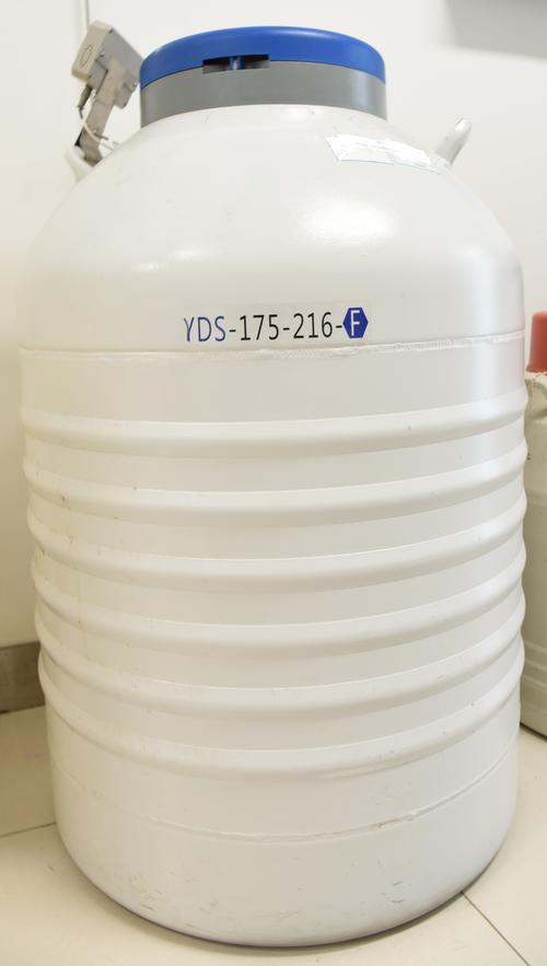 YDS-175-216液氮罐 YDS-175-216液氮罐